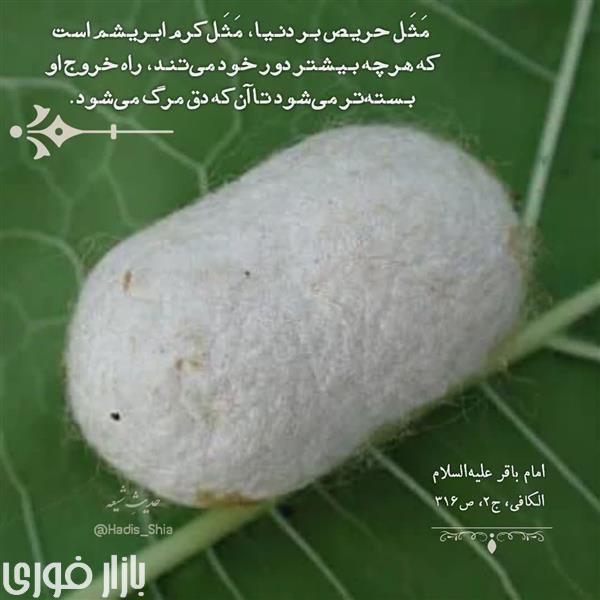  حریص دنیا بودن  